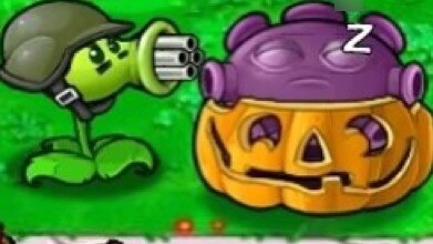[pvz/anthropomorphic] A young man posted an angry video because he was dissatisfied with the site’s 