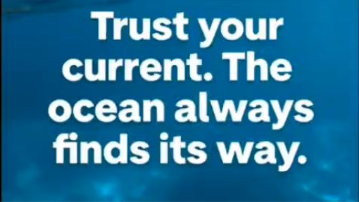 Trust Your Current, The Ocean Always Finds Its Way 🌊