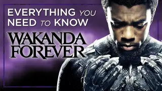 BLACK PANTHER Recap | Everything You Need to Know Before Black Panther 2: WAKANDA FOREVER