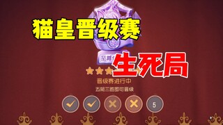 猫和老鼠手游：猫皇晋级赛生死局！