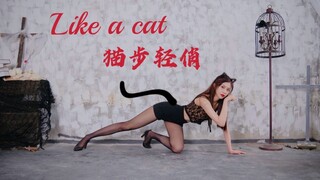 给我变！170巨型猫猫你值得拥有！