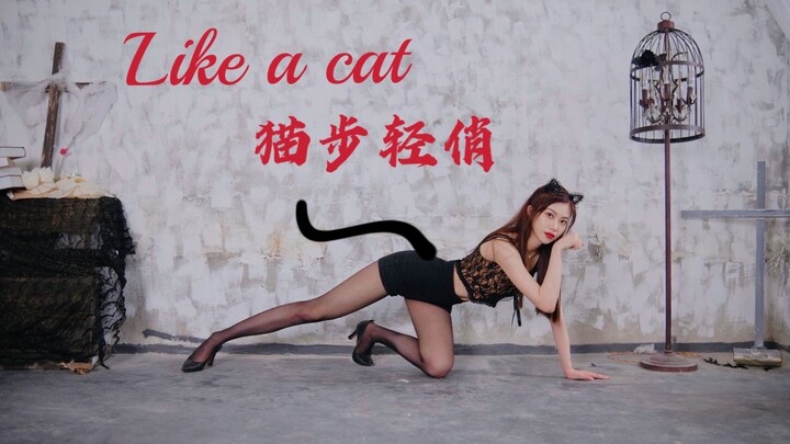给我变！170巨型猫猫你值得拥有！