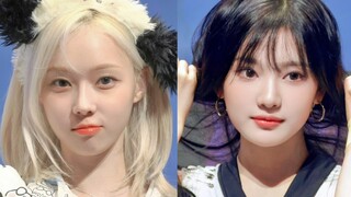 最萌马尔济斯修狗！【aespa】6.6世界末日首个线下签售会饭拍合集！