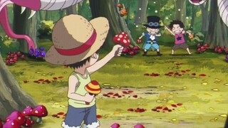 one piece edit ASL