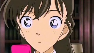 Akai Shuichi changed his appearance and moved into Shinichi's house. He was mistaken for a thief by 