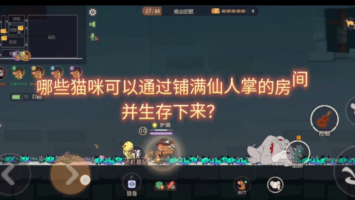 『猫鼠版斗电子蛐蛐第十九期』:哪些猫方角色可以在满是仙人掌的房间中穿过并存活下来？