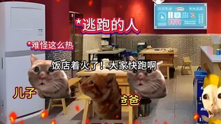 When a restaurant is on fire and the customers haven't paid yet! #catmeme