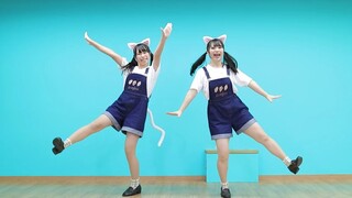 【丸井かお×しらす+】没能当上超级猫咪啊！/ すーぱーぬこになれんかった【原创振付】