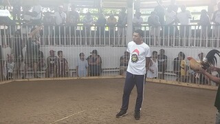 2 hits ulutan Talisay unang laban talo