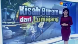 Kisah Buram dari Lumajang | Sigi Investigasi SCTV (31/10/2015)