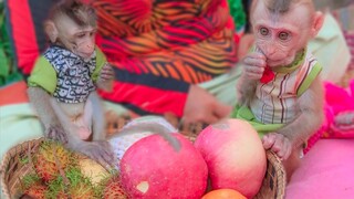 Little Toto & Yaya so happy when they saw many fruits in front of them