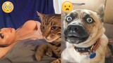 Here Are Some Hilarious Pets, Just To Make Your Day Better 🥰
