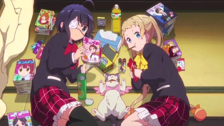 In the early days, the senior sister was the main killer of Danma (Rikka Takanashi was the best in t