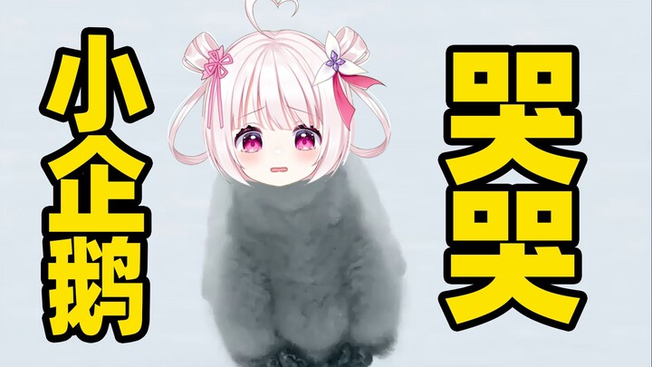 Little penguins really do cry when they get lost!!!