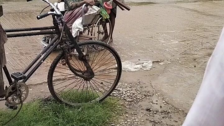 这就是真爱。培育 2.9