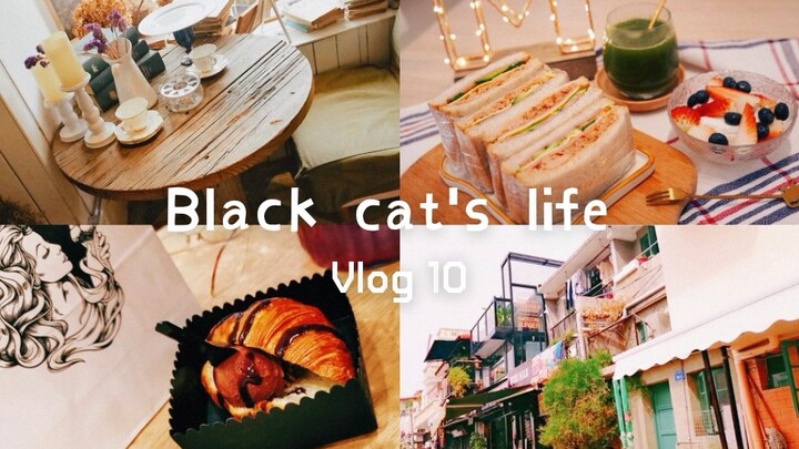 فِلُوغ القط الأسود: حياة بطيئة مهدئة | القط الأسود ذو اللكنة المحلية يصحبك في جولة في شيامن: ساندويت