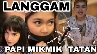 🐜 LANGGAM | TATAN| MIKMIK | PAPI| LATEST TIKTOK| TORO FAMILY