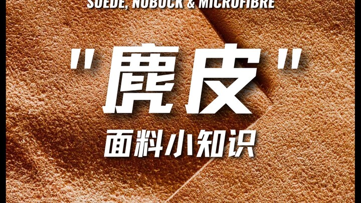 มาทำความเข้าใจ “หนังกวาง” ให้กระจ่างในครั้งเดียว!