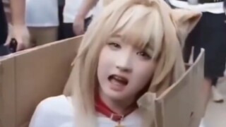 TIKTOK Funny: ลูกแมวสุดน่ารัก
