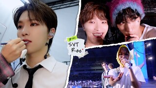 【سوكشو نص صيني】[سجل SVT] يوم D الخاص بـ DINO (العنوان الفرعي: الحدث الكبير بأكمله) | سجلات يومية لـ 