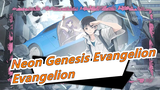 [Neon Genesis Evangelion/MAD/Epic] I'll Let Everyone Know Evangelion