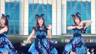 [Xiaolou] I saw the original appearance of Zhaiwu!
