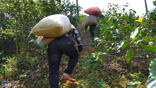 KIẾM TIỀN TRIỆU CÙNG CHÚ VĨNH