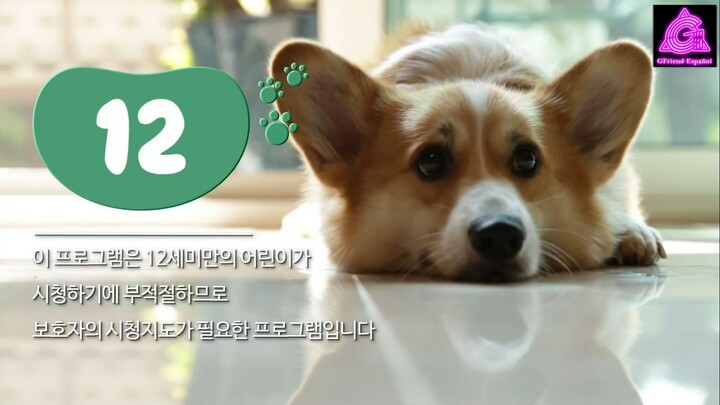GFriend Look After Our Dog [Episodio 10] (Subitutlos en Español)