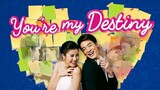 You're My Destiny Episode 3 (TagalogDubbed)