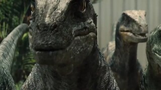 电影《侏罗纪世界》中，每当欧文看向四只迅猛龙时，他实际看到的竟是“迅猛人”！