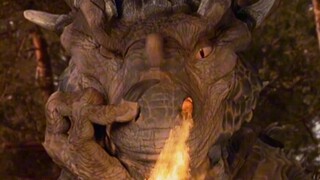 男人与巨龙合伙坑蒙拐骗