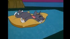 Tom and jerry | jerry quite contrary
