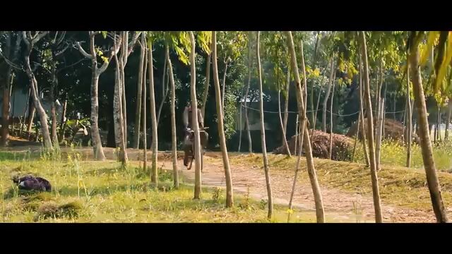 আমারে কান্দাইবা তুমি