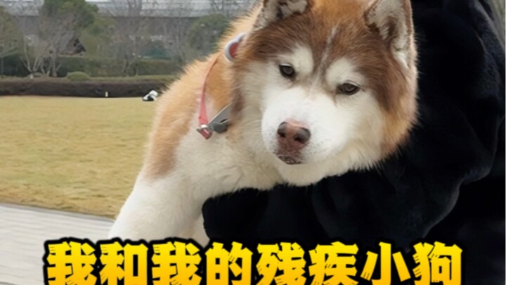 يا هالي لو، يا ابن العاهرة، أرجو أنك فقط تمزح معي!