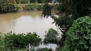 Đi Thăm Lợp Cá Lóc Cùng Bác 2 Một Ngày Trúng Manh. Góc Làng Quê