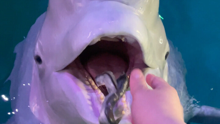 Have some ice cubes as a snack.