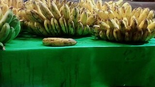 Banana do you want 😅😅😅