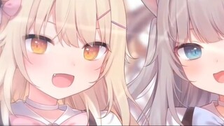 Koleksi kucing lucu dari Amagi (versi medium) (Nachoneko/Amagi なつき)