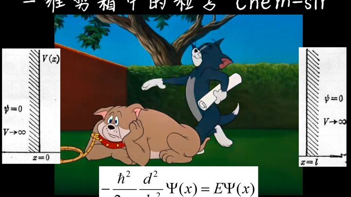 一维势箱中的粒子边界条件（猫和老鼠版）