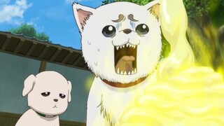 Famous scene in Gintama where you laugh so much that you burst into tears (56)