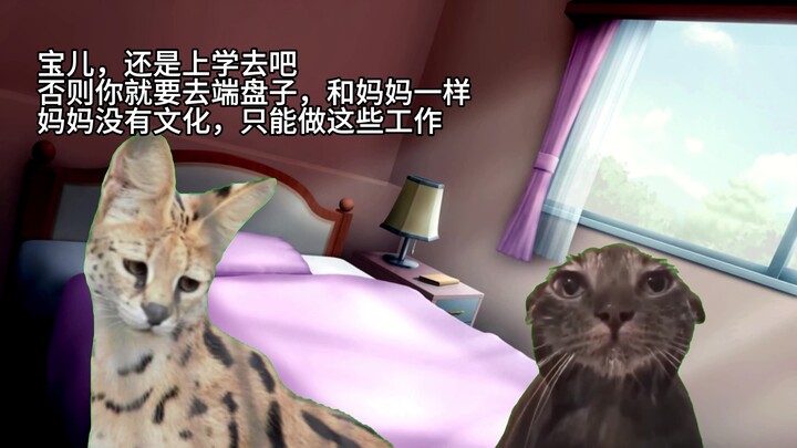 【Meme mèo】Câu chuyện về cách mẹ tôi đã cứu tôi