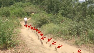 21 little mandarin ducks regard a man as their mother and go hiking with him every day. The reason i