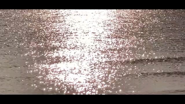 Flowers cover by Yuki