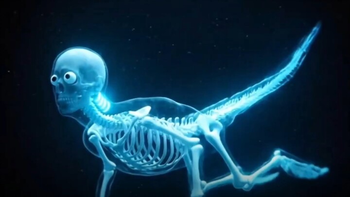 What would happen if you fell into a deep-sea trench and your body was forced to reorganize itself?