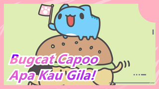 [Bugcat Capoo] Apa Kau Gila!