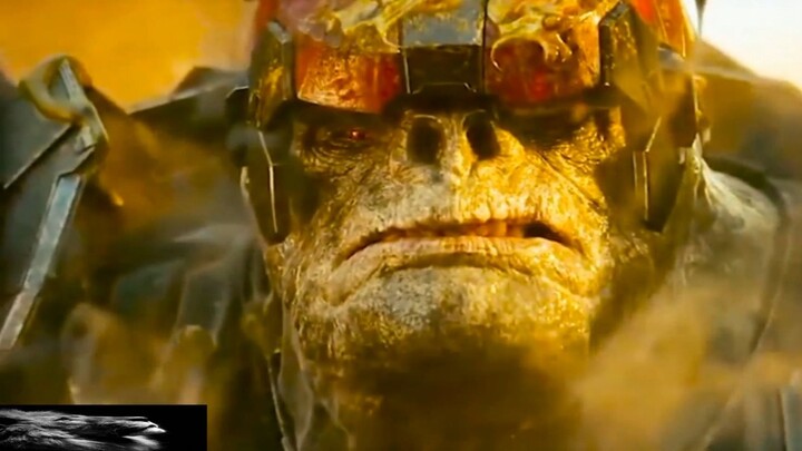 [AMV]Đoán xem ai sẽ thắng, Flood hay Brute?|<Halo>