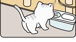 หัวแมวติดค้างกลางดึก เจ้าหน้าที่ดับเพลิงจึงช่วยไว้อย่างอบอุ่น~
