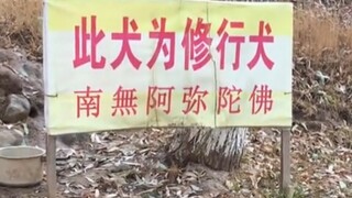 “从灵气复苏开始”