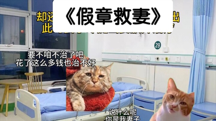 Dùng con dấu giả cứu vợ