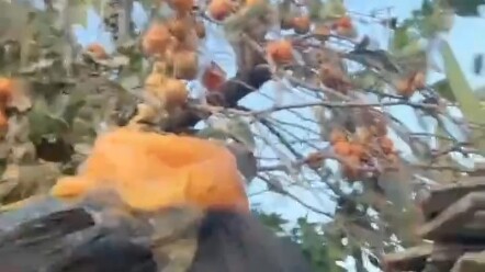 ทำให้ตัวเองขำเอง..